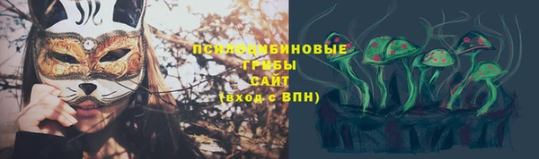 таблы Богородицк