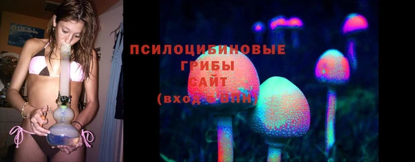 ПСИЛОЦИБИНОВЫЕ ГРИБЫ Белокуриха