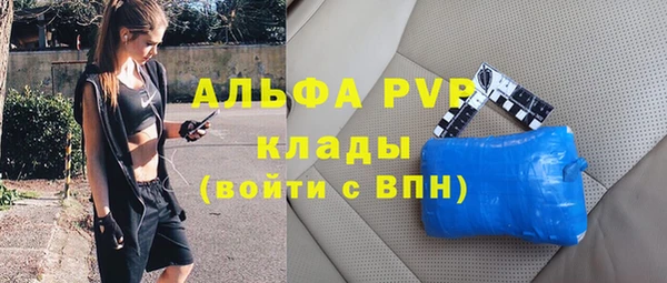 таблы Богородицк