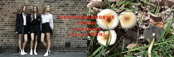 стаф Богородск