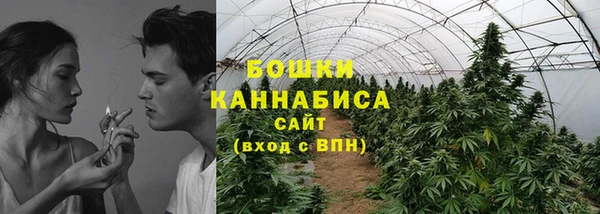 гашиш Богданович