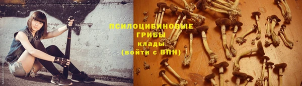 стаф Богородск
