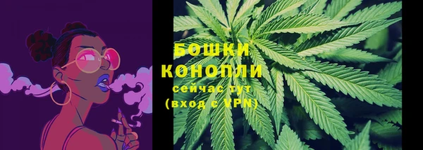 гашиш Богданович