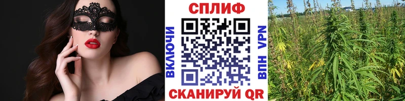 Конопля гибрид Онега