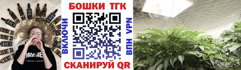 продажа наркотиков  Онега  hydra   Бошки Шишки White Widow 